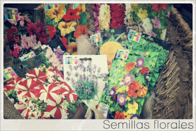 Semillas ornamentales y florales venta
